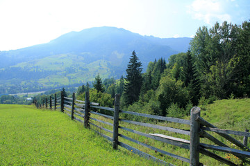 Beautiful landscape with view to wooden fence, pasture, forest and mountains.