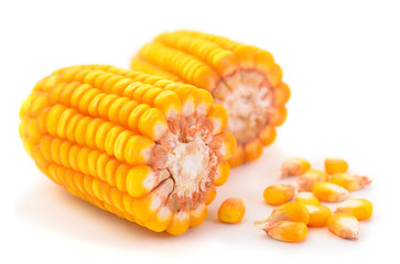 Ripe corn isolated.