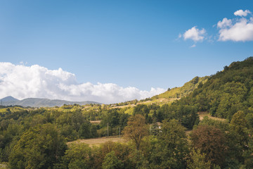 Fototapeta na wymiar Rows of vineyards in the italian countryside