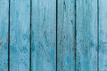 Blue texture of old paint on wooden boards.