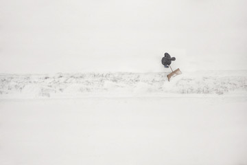 janitor with a shovel cleans the snow of city street. View from above