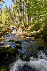 Fototapeta na wymiar a clear river is flowing through natural cascades in the forest