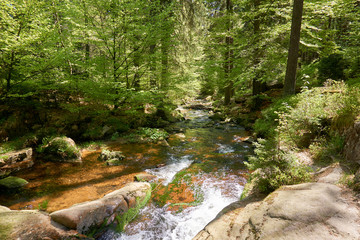a clear river is flowing through natural cascades in the forest