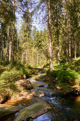 a clear river is flowing through natural cascades in the forest