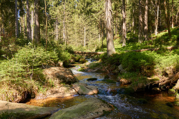 a clear river is flowing through natural cascades in the forest