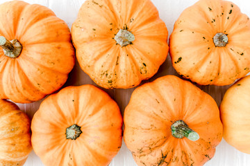 Orange pumpkins Halloween isolated on white background. Flat lay, top view. Autumn minimal concept.