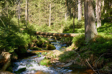 a clear river is flowing through natural cascades in the forest