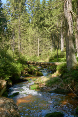 a clear river is flowing through natural cascades in the forest