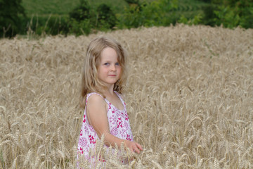 Little blonde girl walking on a wheat field