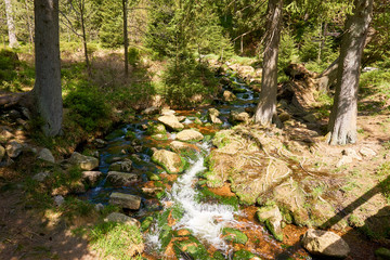 a clear river is flowing through natural cascades in the forest