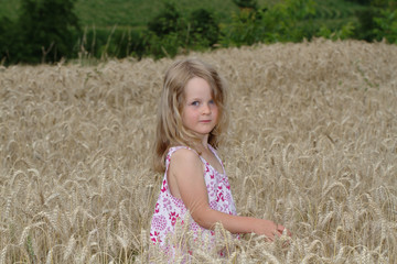 Little blonde girl walking on a wheat field
