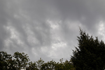 Obraz na płótnie Canvas nuvole