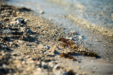 Clear Sea Water with a Pebble Beach on the Coastline