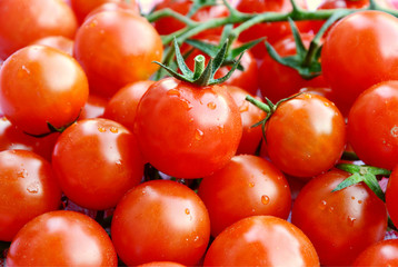 tomatoes with water drop full frame