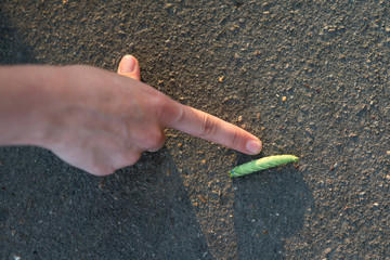 Young woman traveler touches giant green caterpillar laying on the gray asphalt lit by sun