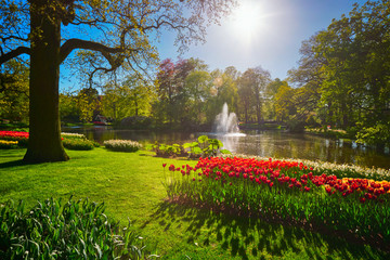 Obraz premium Keukenhof flower garden. Lisse, the Netherlands.