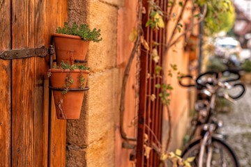 Bepflanzte Tontöpfe an der Holzwand befestigt in romantischer Seitenstraße