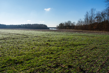 Landschaft mit Feldern und Wald bei Sonne im Sommer