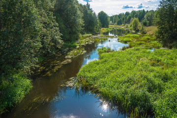 Fototapeta na wymiar Summer landscape with a small river.