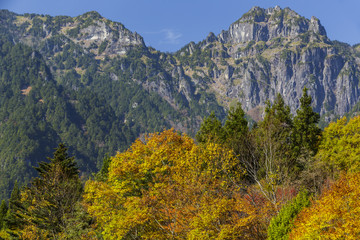 紅葉と錫杖岳