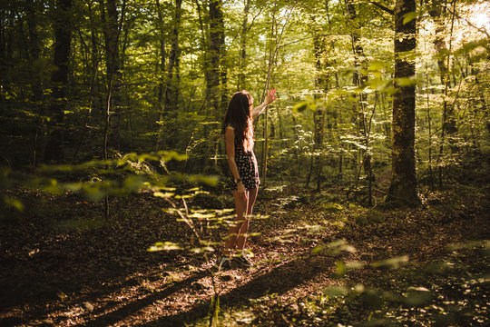Young brunette with a dress and long hair relaxing in the middle of the forest in a sunset of summer
