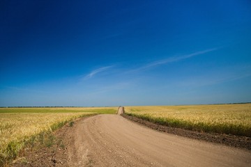 Fototapeta na wymiar Golden Barley / Wheat Field and Country Road
