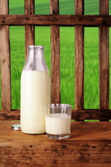 milk bottle and glass with milk, wooden fence