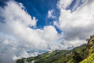 Fog and cloud mountain valley spring landscape.Forested mountain slope in low lying cloud with the evergreen conifers shrouded in mist in a scenic landscape view.