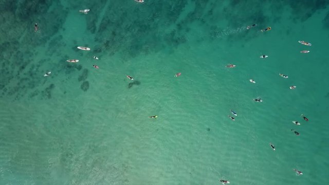 Surfers and waves top down from above. big ocean swell over reef.