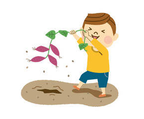 芋掘りをする男性