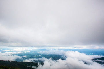 Obraz premium Fog and cloud mountain valley spring landscape.Forested mountain slope in low lying cloud with the evergreen conifers shrouded in mist in a scenic landscape view.
