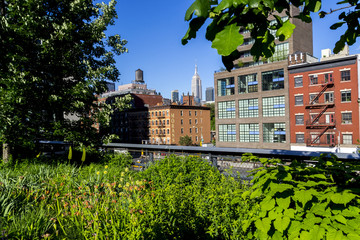 Fototapeta premium High Line New York