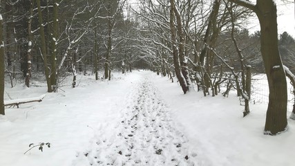 footprints in the snow