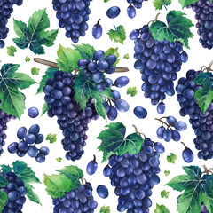 Watercolor pattern of blue grapes bunches