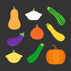 Seasonal squash, gourd vegetable vector illustration set; pumpkin, butternut squash, patty pan squash, green, yellow and striped zucchini, hokkaido pumpkin and eggplant. Isolated on dark background.