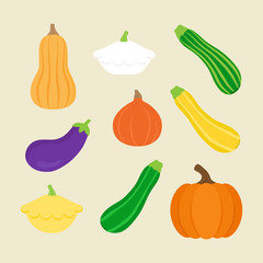 Seasonal squash, gourd vegetable vector illustration set; pumpkin, butternut squash, patty pan squash, green, yellow and striped zucchini, hokkaido pumpkin and eggplant. Isolated on beige background.