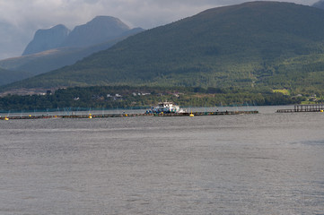 Fototapeta na wymiar auf dem Weg nach Molde, Norwegen