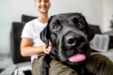 freelancer guy sitting at home working with a dog in an embrace, black labrador.