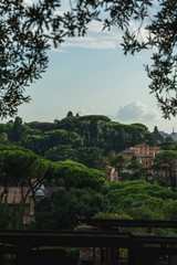 Rome, Italy travel photography