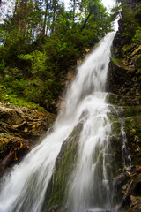 Naklejka premium waterfall in forest