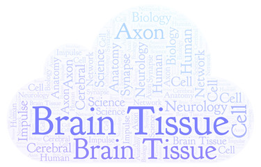 Obraz premium Brain Tissue word cloud.