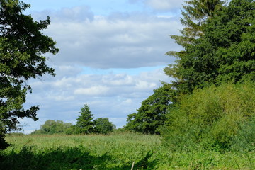 Im Bereich der Flußlandschaft der Hamme im Sommer in der Umgebung von Worpswede