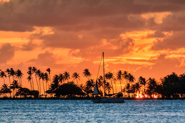 Silhouette of tropical palm trees and a sailing boat under a beautiful sunset in the Caribbean in San Juan, Puerto Rico