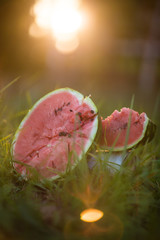 watermelon in the grass at sunset
