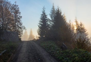 Autumn Carpathians, Ukraine.