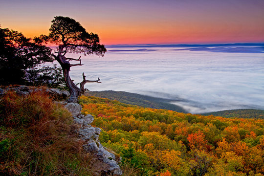 Cedar Tree Bluff Overlook