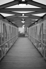 Fototapeta premium Puente metalico en blanco y negro