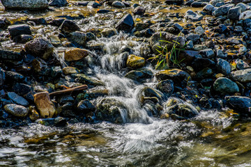 Creek near Wallowa Lake