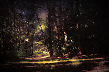 Magic forest with footpath, starry sky and light reflections