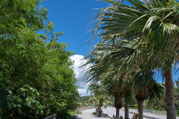 沖縄の風景